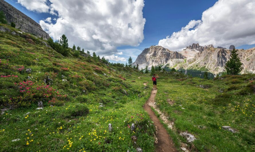 A Beginner’s Guide to Trail Running in Saint Moritz’s Scenic Trails