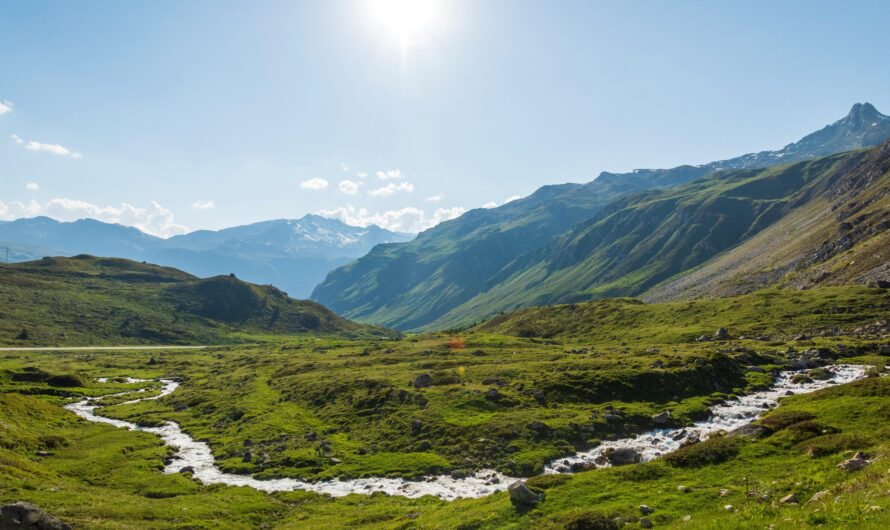 Seasonal Wellness Retreats in Saint Moritz: A Year-Round Guide