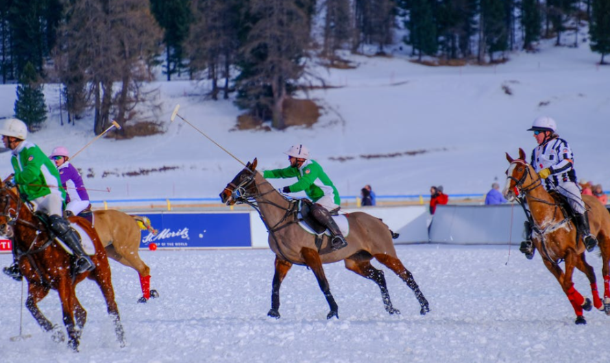 The Role of Saint Moritz in the Global Growth of Snow Polo