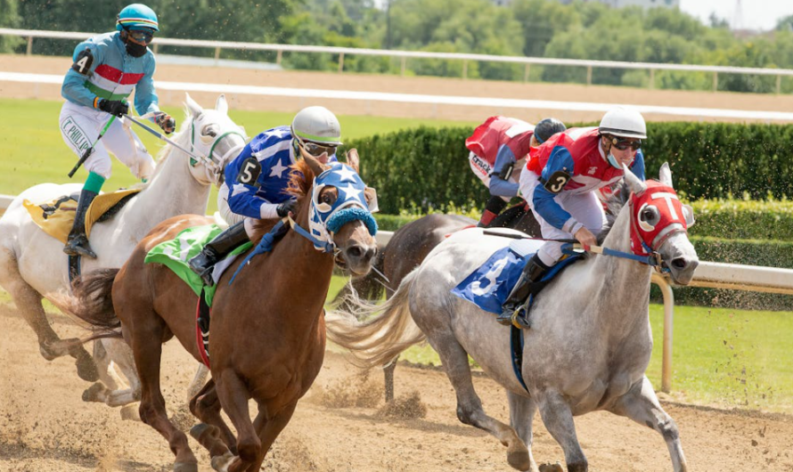 A Guide to Experiencing White Turf Horse Races Like a VIP