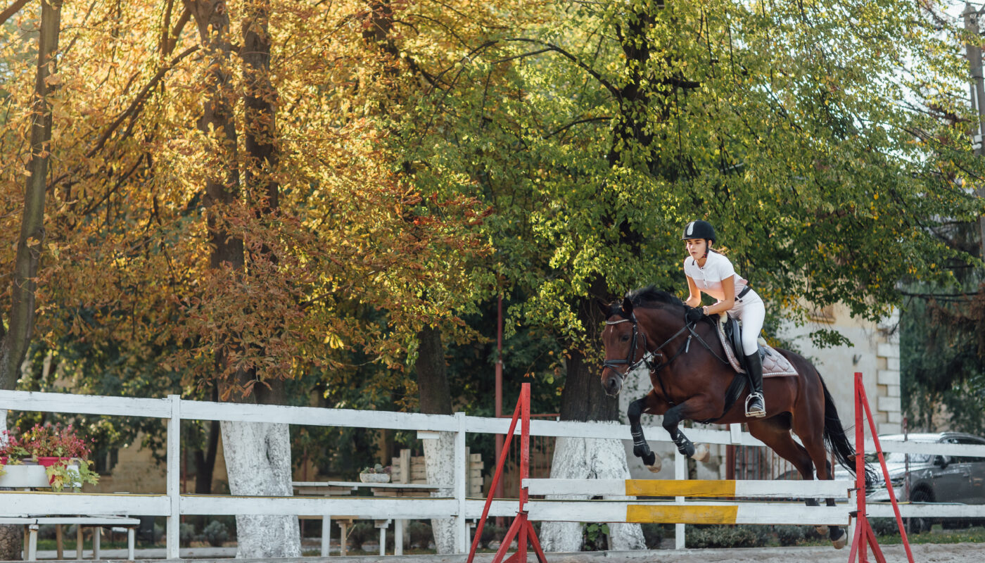 https://www.freepik.com/free-photo/young-woman-horse-rider-sportswoman-equestrian-sport-competition-leaping-hurdle_17094179.htm#fromView=search&page=1&position=11&uuid=38e48f42-86ec-42fa-9ad1-3283d8d2e642&query=White+Turf+sports+with+horses+in+saint+moritz
