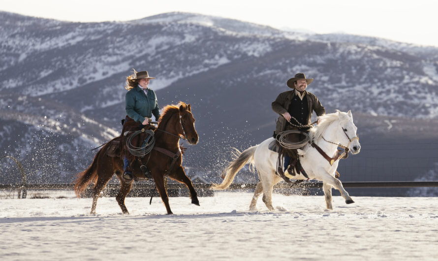 How Horses are Trained for High-Altitude Ice Racing