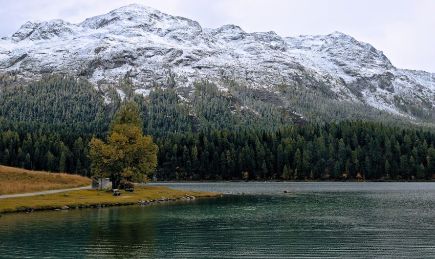 Comparing Saint Moritz Springs to Other Alpine Wellness Waters