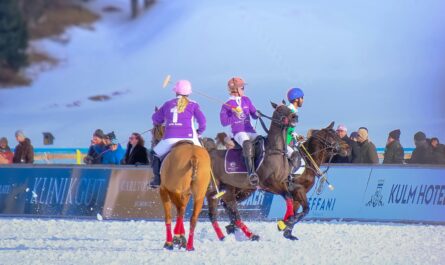 https://www.pexels.com/photo/dynamic-snow-polo-match-in-winter-landscape-30492432/